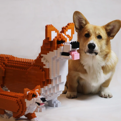JEKCA WELSH CORGI 02S-M01