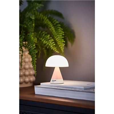 LAMPADA PANTONE MINA M ROSE QUARTZ ART. LH64PT-LP LEXON PINK