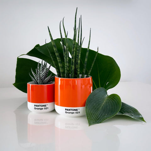 TAZZA PANTONE CORTADO THERMO CUP 101060021 COPENHAGEN DESIGN ORANGE