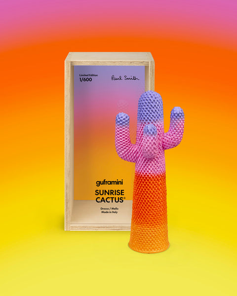 CACTUS SUNRISE GUFRAMINI M01151 GUFRAM MULTICOLOR