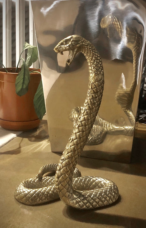 SELETTI WUNDERKAMMER SNAKE 10893