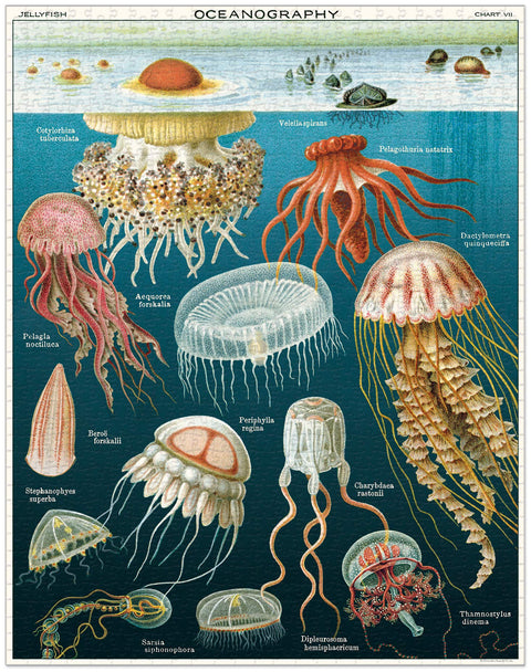 VINTAGE PUZZLE CAVALLINI & CO 1000 PZ 55X70 JELLYFISH PLZ/JELLY