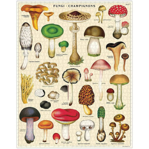 VINTAGE PUZZLE 1000 PZ 55X70 MUSHROOMS PZL/MUSH CAVALLINI & CO MULTICOLOR