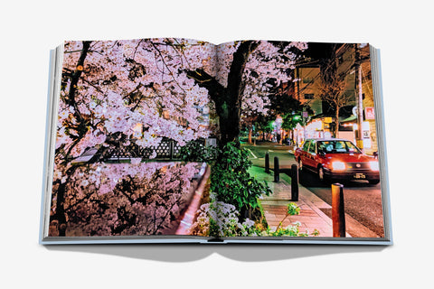 LIBRO KYOTO SERENITY ASSOLULINE MULTICOLOR