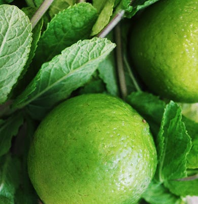 DR. VRANJES CANDELA GINGER LIME 200 GR PERLA