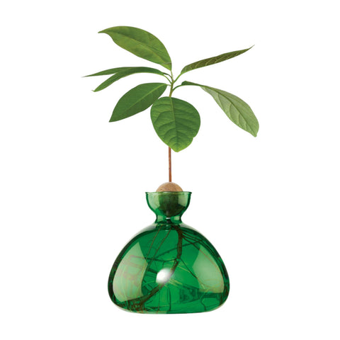 ILEX STUDIO VASI AVOCADO EMERALD GREEN ART. 009