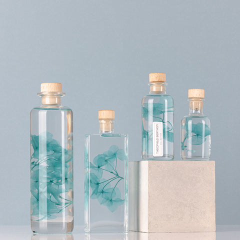 HERBARIUM H 21 CM HORTENSIA BLU CYLINDER THEOPHILE BERTON BLUE