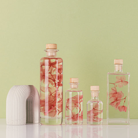 HERBARIUM H 21 CM HORTENSIA PINK CYLINDER THEOPHILE BERTON PINK