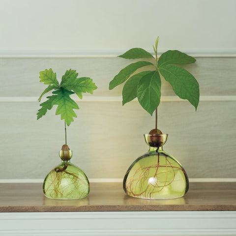 ILEX STUDIO VASI AVOCADO GRASS GREEN ART. 003-9