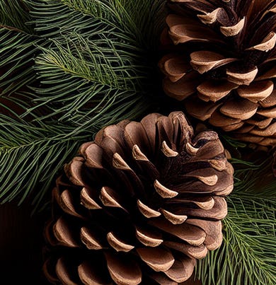 "DR. VRANJES SPRY 100 ML CHRISTMAS TREE"