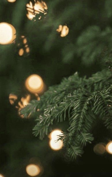 "DR VRANJES AMBIENT FRAGRANCE 250 ML CHRISTMAS TREE"