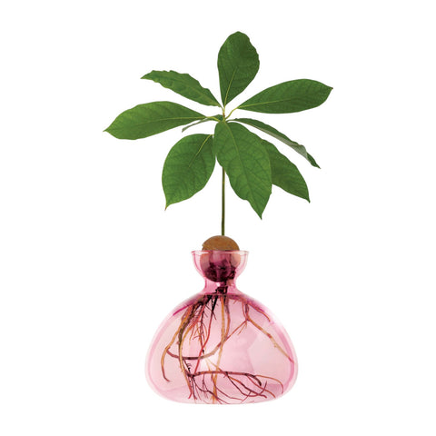 ILEX STUDIO VASI AVOCADO ROSE PINK ART. 003-1