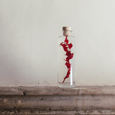 HERBARIUM H 21 CM CYLINDER THEOPHILE BERTON RED