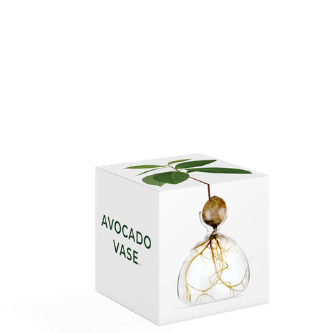 VASO AVOCADO CLEAR ART. 003 ILEX STUDIO TRANSPARENT