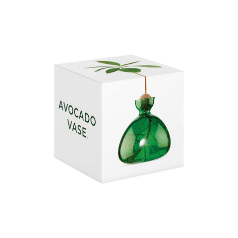 ILEX STUDIO VASI AVOCADO EMERALD GREEN ART. 009