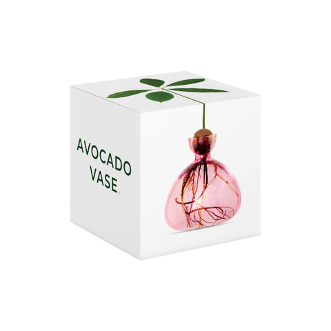 ILEX STUDIO VASI AVOCADO ROSE PINK ART. 003-1