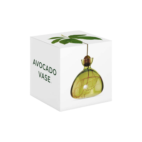ILEX STUDIO VASI AVOCADO GRASS GREEN ART. 003-9