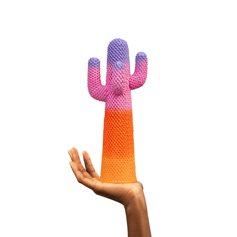 CACTUS SUNRISE GUFRAMINI M01151 GUFRAM MULTICOLOR