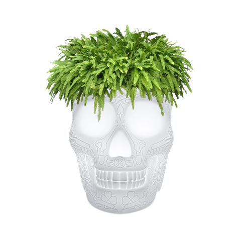 QEEBOO MEXICO CHAMPAGNE COOLER/PLANTER LED