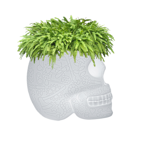 QEEBOO MEXICO CHAMPAGNE COOLER/PLANTER LED
