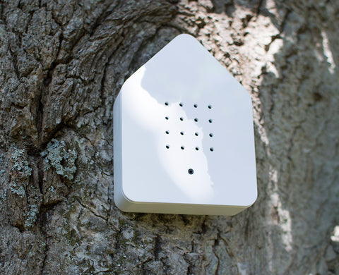 "RELAXOUND ZWITSCHER BOX CLASSIC WHITE"