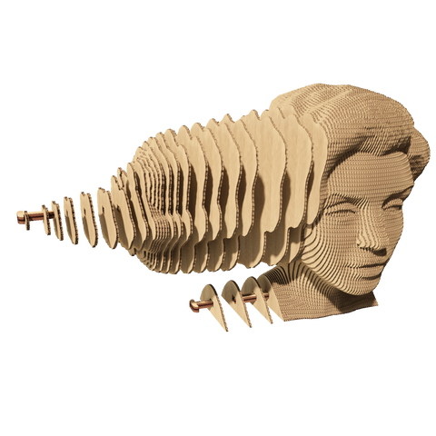 CARTONIC 3D PUZZLE MONROE
