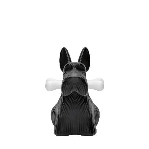 SCOTTIE BLACK QEEBOO LAMP
