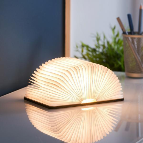 SMART BOOK LIGHT STANDARD MAPLE