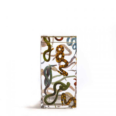 VASO IN VETRO TOILETPAPER CM.15X15 H.30 SNAKES 14151 SELETTI MULTICOLOR